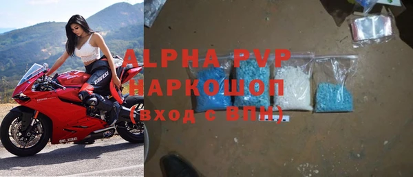 прущие грибы Дмитровск