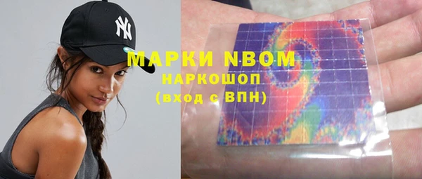 прущие грибы Дмитровск