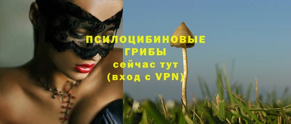 соль курить ск Дмитриев