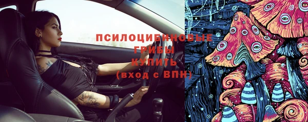 прущие грибы Дмитровск
