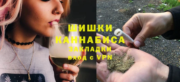 прущие грибы Дмитровск