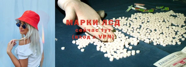 прущие грибы Дмитровск
