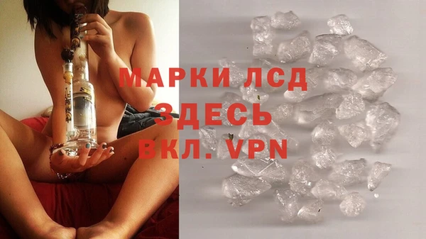 прущие грибы Дмитровск
