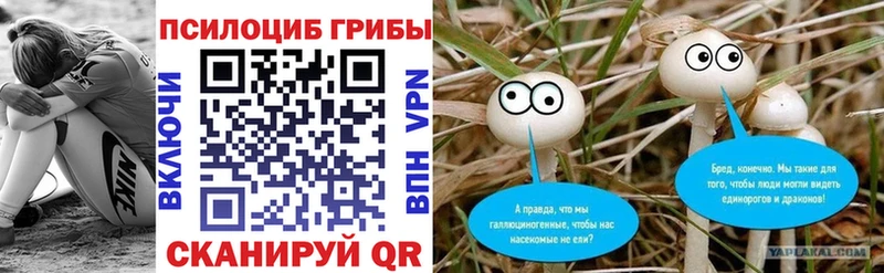 Купить  Камешково  Галлюциногенные грибы прущие грибы 
